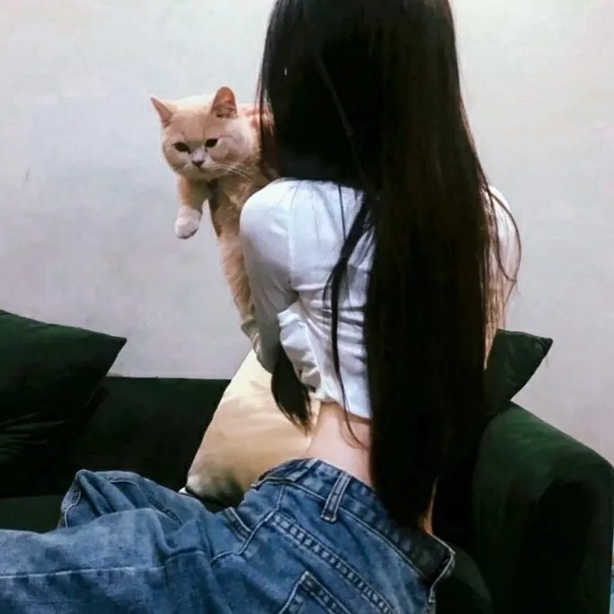超完美男人